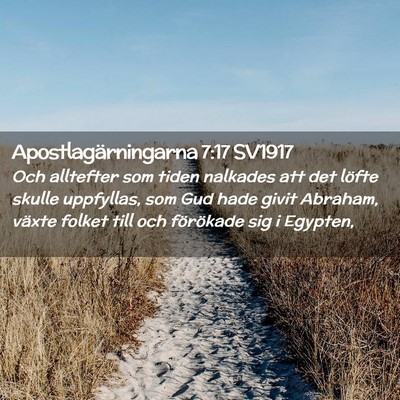 Picture 02 - Apostlagärningarna 7:17 SV1917 - Och alltefter som tiden nalkades att det löfte - Bible Verse Picture