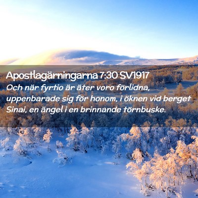 Picture 02 - Apostlagärningarna 7:30 SV1917 - Och när fyrtio är äter voro förlidna, - Bible Verse Picture