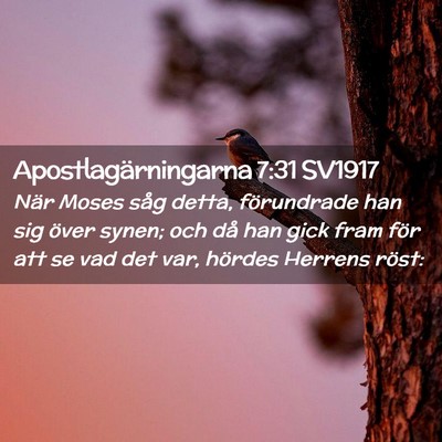 Picture 02 - Apostlagärningarna 7:31 SV1917 - När Moses såg detta, förundrade han sig över - Bible Verse Picture