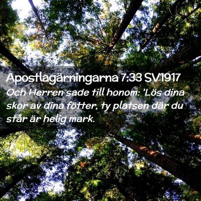 Picture 02 - Apostlagärningarna 7:33 SV1917 - Och Herren sade till honom: 'Lös dina skor av - Bible Verse Picture