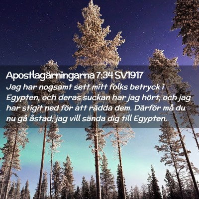 Picture 02 - Apostlagärningarna 7:34 SV1917 - Jag har nogsamt sett mitt folks betryck i - Bible Verse Picture