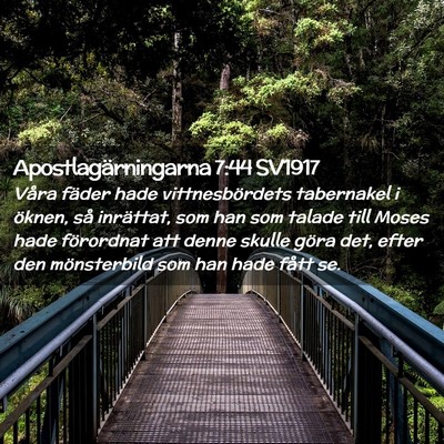 Picture 02 - Apostlagärningarna 7:44 SV1917 - Våra fäder hade vittnesbördets tabernakel i - Bible Verse Picture