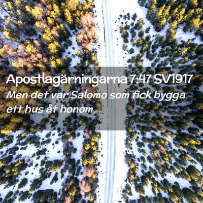 Picture 02 - Apostlagärningarna 7:47 SV1917 - Men det var Salomo som fick bygga ett hus åt - Bible Verse Picture