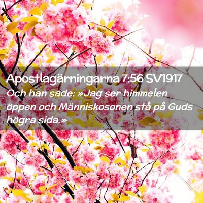 Picture 02 - Apostlagärningarna 7:56 SV1917 - Och han sade: »Jag ser himmelen öppen och - Bible Verse Picture
