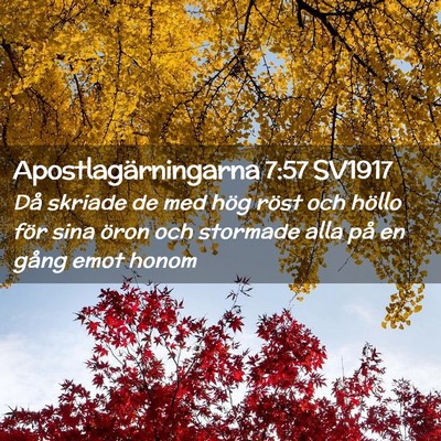 Picture 02 - Apostlagärningarna 7:57 SV1917 - Då skriade de med hög röst och höllo för - Bible Verse Picture