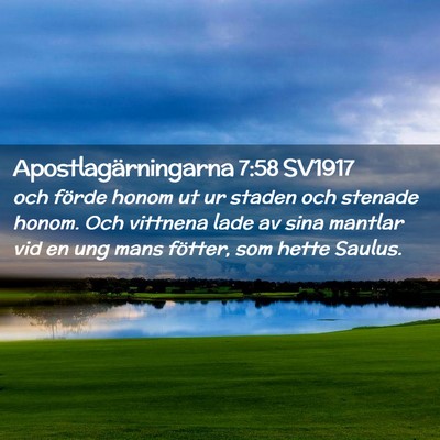 Picture 02 - Apostlagärningarna 7:58 SV1917 - och förde honom ut ur staden och stenade honom. - Bible Verse Picture