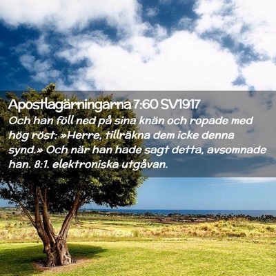 Picture 02 - Apostlagärningarna 7:60 SV1917 - Och han föll ned på sina knän och ropade med - Bible Verse Picture