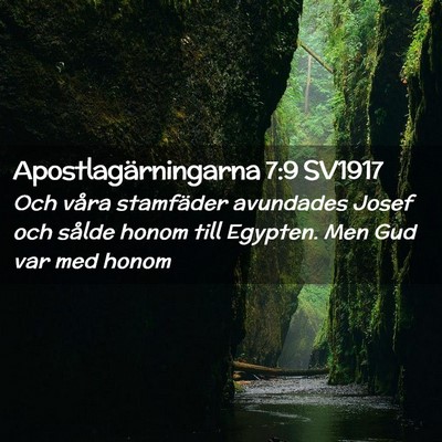 Picture 02 - Apostlagärningarna 7:9 SV1917 - Och våra stamfäder avundades Josef och sålde - Bible Verse Picture