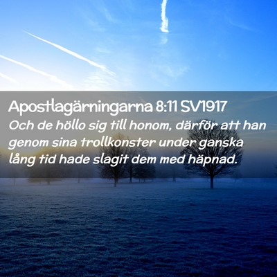 Picture 02 - Apostlagärningarna 8:11 SV1917 - Och de höllo sig till honom, därför att han - Bible Verse Picture