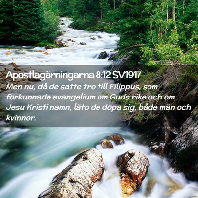 Picture 02 - Apostlagärningarna 8:12 SV1917 - Men nu, då de satte tro till Filippus, som - Bible Verse Picture