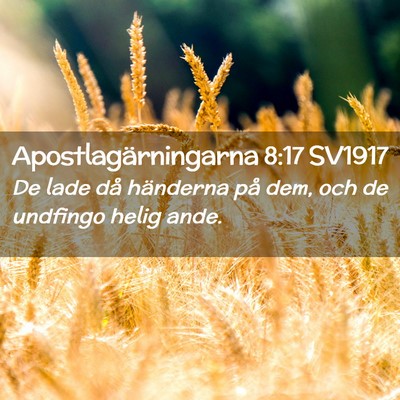 Picture 02 - Apostlagärningarna 8:17 SV1917 - De lade då händerna på dem, och de undfingo - Bible Verse Picture