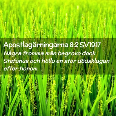 Picture 02 - Apostlagärningarna 8:2 SV1917 - Några fromma män begrovo dock Stefanus och - Bible Verse Picture