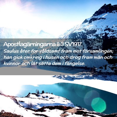 Picture 02 - Apostlagärningarna 8:3 SV1917 - Saulus åter for våldsamt fram mot - Bible Verse Picture