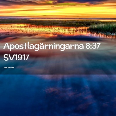 Picture 02 - Apostlagärningarna 8:37 SV1917 -  - Bible Verse Picture