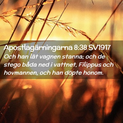 Picture 02 - Apostlagärningarna 8:38 SV1917 - Och han lät vagnen stanna; och de stego båda - Bible Verse Picture