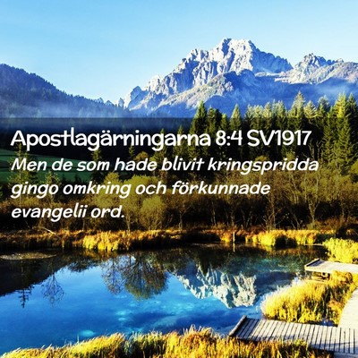 Picture 02 - Apostlagärningarna 8:4 SV1917 - Men de som hade blivit kringspridda gingo omkring - Bible Verse Picture