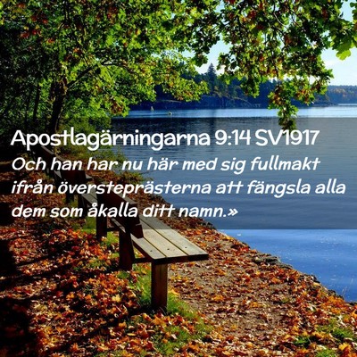 Picture 02 - Apostlagärningarna 9:14 SV1917 - Och han har nu här med sig fullmakt ifrån - Bible Verse Picture