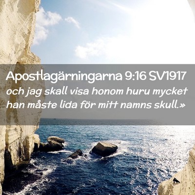 Picture 02 - Apostlagärningarna 9:16 SV1917 - och jag skall visa honom huru mycket han måste - Bible Verse Picture