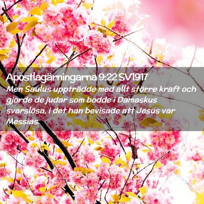 Picture 02 - Apostlagärningarna 9:22 SV1917 - Men Saulus uppträdde med allt större kraft och - Bible Verse Picture