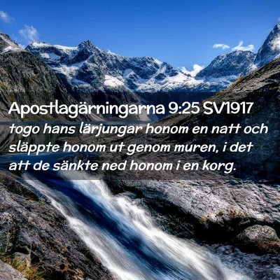 Picture 02 - Apostlagärningarna 9:25 SV1917 - togo hans lärjungar honom en natt och släppte - Bible Verse Picture