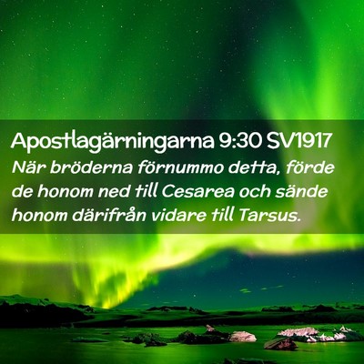 Picture 02 - Apostlagärningarna 9:30 SV1917 - När bröderna förnummo detta, förde de honom - Bible Verse Picture