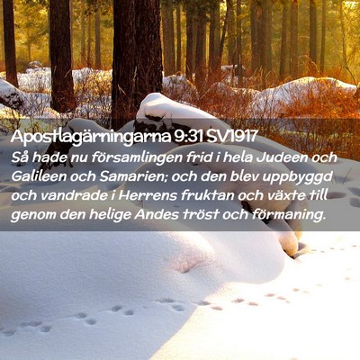 Picture 02 - Apostlagärningarna 9:31 SV1917 - Så hade nu församlingen frid i hela Judeen och - Bible Verse Picture