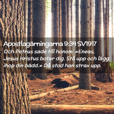 Picture 02 - Apostlagärningarna 9:34 SV1917 - Och Petrus sade till honom: »Eneas, Jesus - Bible Verse Picture
