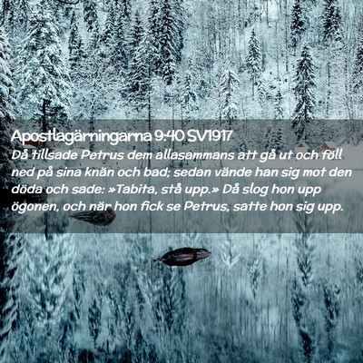Picture 02 - Apostlagärningarna 9:40 SV1917 - Då tillsade Petrus dem allasammans att gå ut - Bible Verse Picture