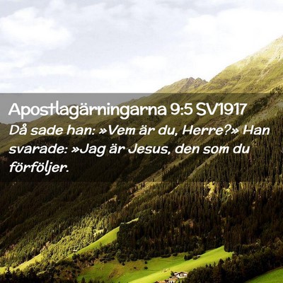 Picture 02 - Apostlagärningarna 9:5 SV1917 - Då sade han: »Vem är du, Herre?» Han svarade: - Bible Verse Picture