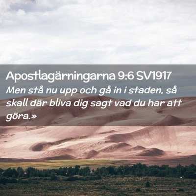Picture 02 - Apostlagärningarna 9:6 SV1917 - Men stå nu upp och gå in i staden, så skall - Bible Verse Picture