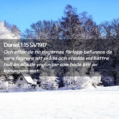 Picture 02 - Daniel 1:15 SV1917 - Och efter de tio dagarnas förlopp befunnos de - Bible Verse Picture