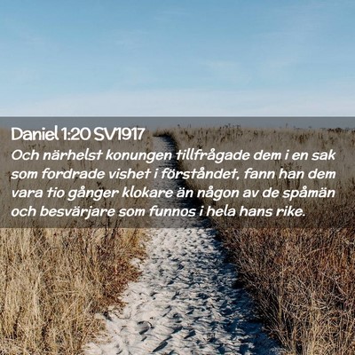 Picture 02 - Daniel 1:20 SV1917 - Och närhelst konungen tillfrågade dem i en sak - Bible Verse Picture