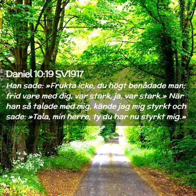 Picture 02 - Daniel 10:19 SV1917 - Han sade: »Frukta icke, du högt benådade man; - Bible Verse Picture