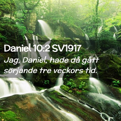 Picture 02 - Daniel 10:2 SV1917 - Jag, Daniel, hade då gått sörjande tre veckors - Bible Verse Picture
