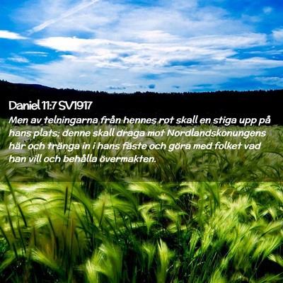 Picture 02 - Daniel 11:7 SV1917 - Men av telningarna från hennes rot skall en - Bible Verse Picture