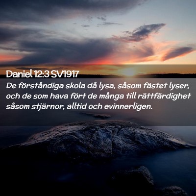 Picture 02 - Daniel 12:3 SV1917 - De förståndiga skola då lysa, såsom fästet - Bible Verse Picture