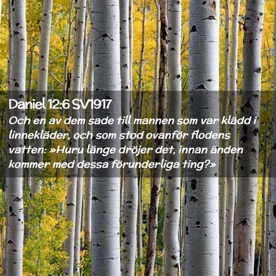 Picture 02 - Daniel 12:6 SV1917 - Och en av dem sade till mannen som var klädd i - Bible Verse Picture