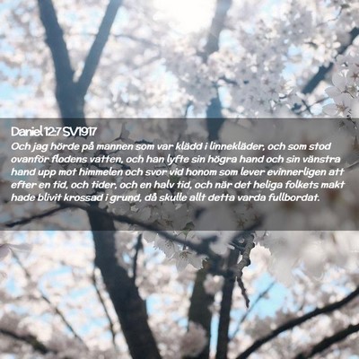 Picture 02 - Daniel 12:7 SV1917 - Och jag hörde på mannen som var klädd i - Bible Verse Picture