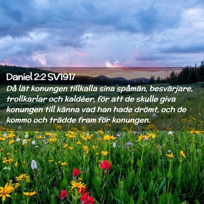 Picture 02 - Daniel 2:2 SV1917 - Då lät konungen tillkalla sina spåmän, - Bible Verse Picture