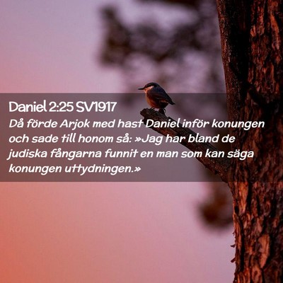 Picture 02 - Daniel 2:25 SV1917 - Då förde Arjok med hast Daniel inför konungen - Bible Verse Picture
