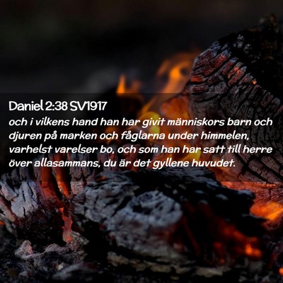 Picture 02 - Daniel 2:38 SV1917 - och i vilkens hand han har givit människors barn - Bible Verse Picture