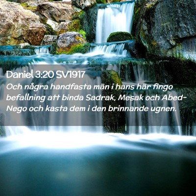 Picture 02 - Daniel 3:20 SV1917 - Och några handfasta män i hans här fingo - Bible Verse Picture