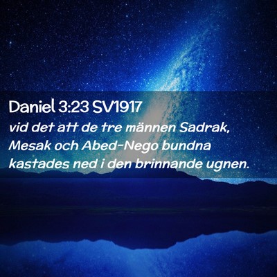 Picture 02 - Daniel 3:23 SV1917 - vid det att de tre männen Sadrak, Mesak och - Bible Verse Picture