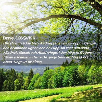 Picture 02 - Daniel 3:26 SV1917 - Därefter trädde Nebukadnessar fram till - Bible Verse Picture