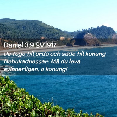 Picture 02 - Daniel 3:9 SV1917 - De togo till orda och sade till konung - Bible Verse Picture