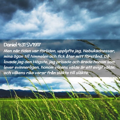 Picture 02 - Daniel 4:31 SV1917 - Men när tiden var förliden, upplyfte jag, - Bible Verse Picture