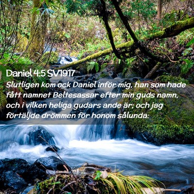 Picture 02 - Daniel 4:5 SV1917 - Slutligen kom ock Daniel inför mig, han som hade - Bible Verse Picture