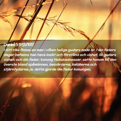 Picture 02 - Daniel 5:11 SV1917 - I ditt rike finnes en man i vilken heliga gudars - Bible Verse Picture