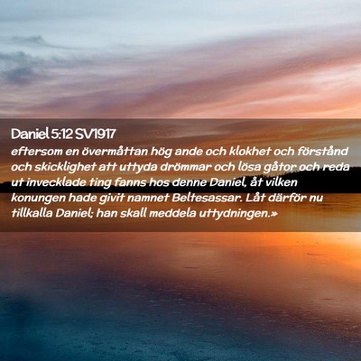 Picture 02 - Daniel 5:12 SV1917 - eftersom en övermåttan hög ande och klokhet - Bible Verse Picture
