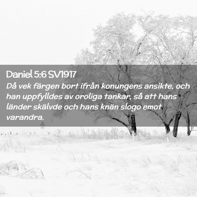Picture 02 - Daniel 5:6 SV1917 - Då vek färgen bort ifrån konungens ansikte, - Bible Verse Picture